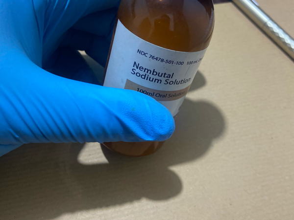 Nembutal (pentobarbitalnatrium) te koop